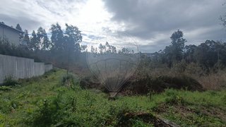 Land for sale in Oliveira de Azeméis, Portugal — €430,000