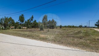 Terreno em Salvaterra de Magos
