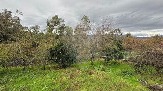 Land for sale in Amares, Portugal — €56,500