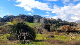 Land for sale in Vila Franca de Xira, Portugal — €250,000