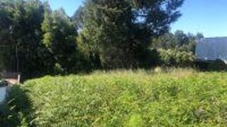 Land for sale in Oliveira de Azeméis, Portugal — €64,000