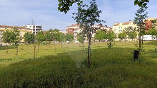 Land for sale in Nelas, Portugal — €159,500