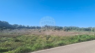 Land for sale in Rio Maior, Portugal — €26,500