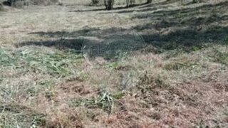 Land for sale in Alenquer, Portugal — €55,500