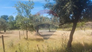 Land for sale in Penamacor, Portugal — €7,000
