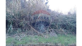 Land for sale in Porto de Mós, Portugal — €7,000
