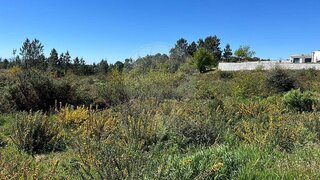 Land for sale in Nelas, Portugal — €35,000