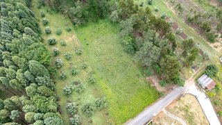 Land for sale in Anadia, Portugal — €42,000