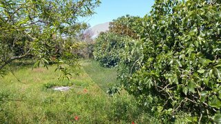 Land for sale in Pombal, Portugal — €58,000