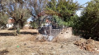 Land for sale in Abrantes, Portugal — €20,000