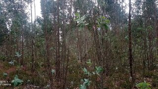Land for sale in Águeda, Portugal — €22,000