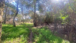Terreno em Sintra