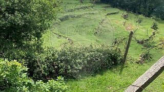 Terreno em Terras de Bouro