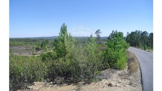 Terreno de 6320 m² em Castelo Branco
