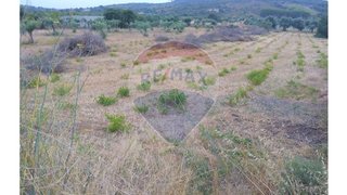 Land for sale in Ferreira do Zêzere, Portugal — €30,000