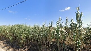 Terreno em Peniche · 2560 m² · 70 000 €