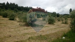 Land for sale in Alvaiázere, Portugal — €35,000