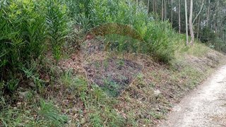 Land for sale in Melgaço, Portugal — €19,500