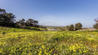 Land for sale in Cartaxo, Portugal — €82,900