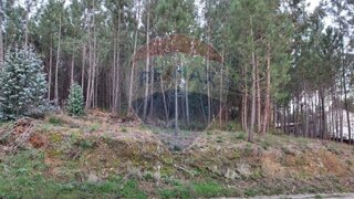 Land for sale in Sertã, Portugal — €7,500