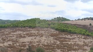 Terreno para venda em Alcoutim, Portugal — 5000 €