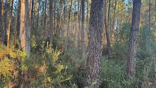 Land for sale in Batalha, Portugal — €3,700
