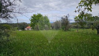 Land for sale in Carregal do Sal, Portugal — €24,990