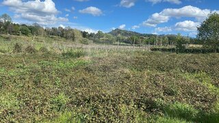 Land for sale in Vila Verde, Portugal — €81,500