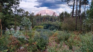 Land · 830 m² · €50,000