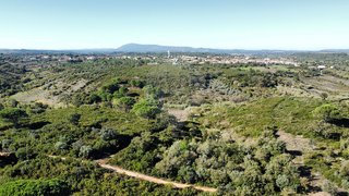 Terreno em Azambuja