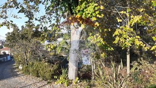 Land for sale in Marco de Canaveses, Portugal — €70,000