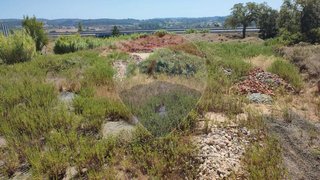 Land for sale in Tomar, Portugal — €25,000