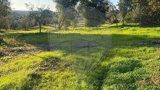 Land for sale in Abrantes, Portugal — €39,000