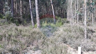 Terreno em Leiria