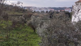 Land for sale in Abrantes, Portugal — €29,500