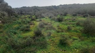 Land for sale in Silves, Portugal — €71,000
