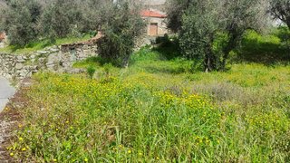 Terreno · 600 m² · 15 000 €