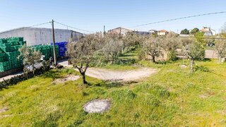 Terreno para venda em Mangualde, Portugal — 19 990 €