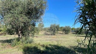 Land for sale in Torres Novas, Portugal — €161,500