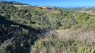 Land for sale in Sintra, Portugal — €15,000