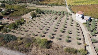 Land for sale in São João da Pesqueira, Portugal — €30,000