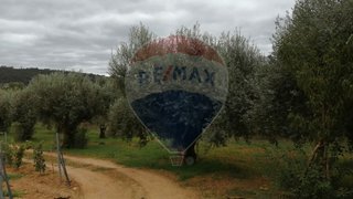 Land for sale in Pombal, Portugal — €7,500