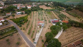 Land for sale in Chamusca, Portugal — €29,000