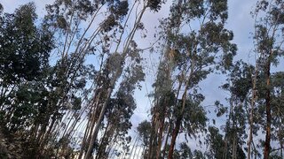 Land for sale in Vila de Rei, Portugal — €6,000