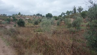 Land for sale in Abrantes, Portugal — €5,850