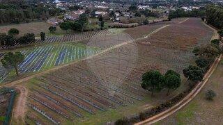 Terreno em Tomar · 50 737 m² · 830 000 €