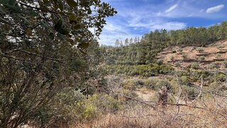 Land for sale in Vila Velha de Ródão, Portugal — €10,000