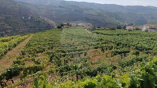 Land for sale in Santa Marta de Penaguião, Portugal — €100,000
