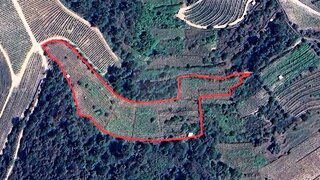 Land for sale in Alijó, Portugal — €65,000