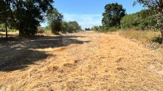 Land for sale in Oliveira do Bairro, Portugal — €9,900